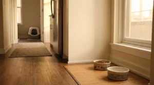 litter box placement away from food — cat food bowl and water bowl shown clearly separated from litter box across apartment kitchen