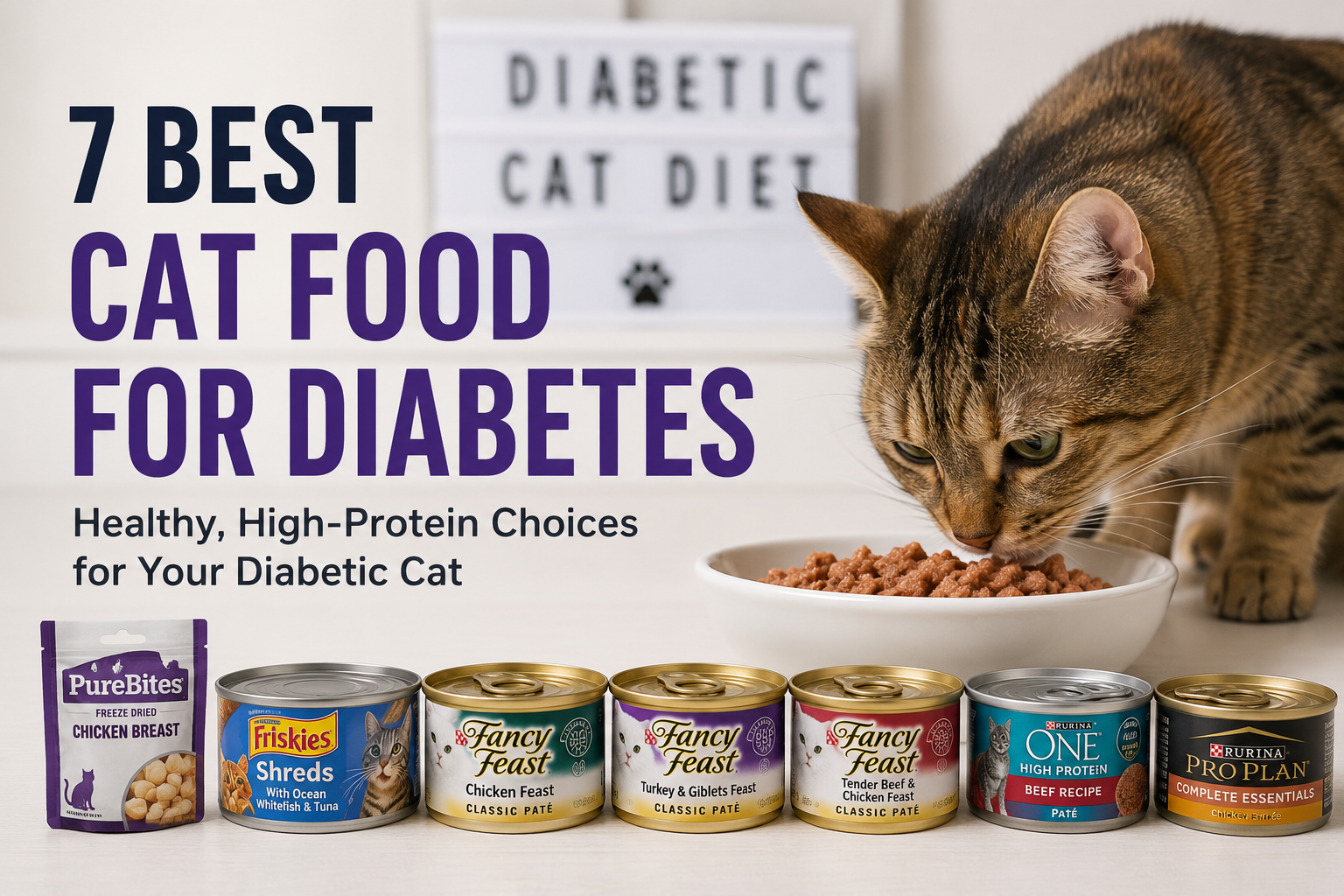 Best cat food for diabetes featuring high-protein wet cat food options for diabetic cats