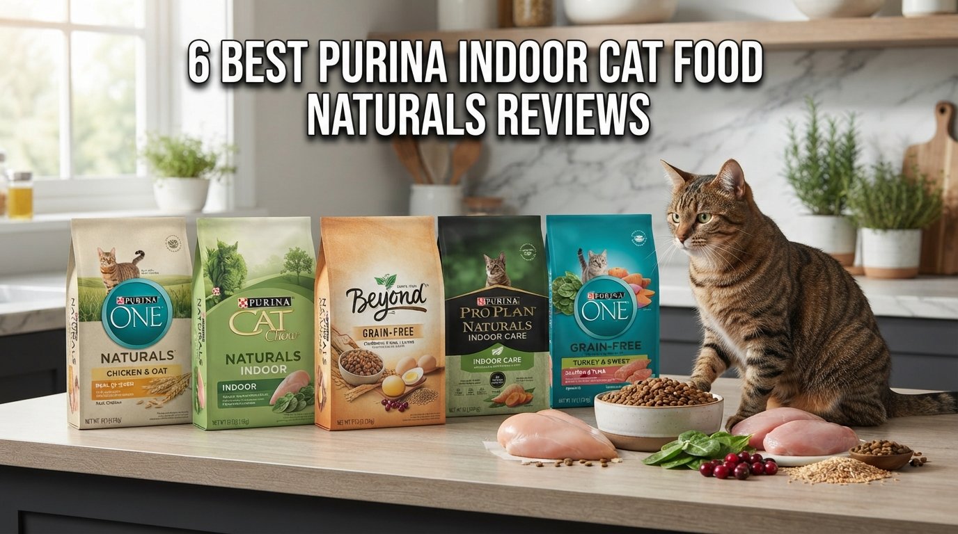 Purina Indoor Cat Food Naturals reviews featuring premium natural cat food bags and a healthy indoor tabby cat in a modern kitchen.