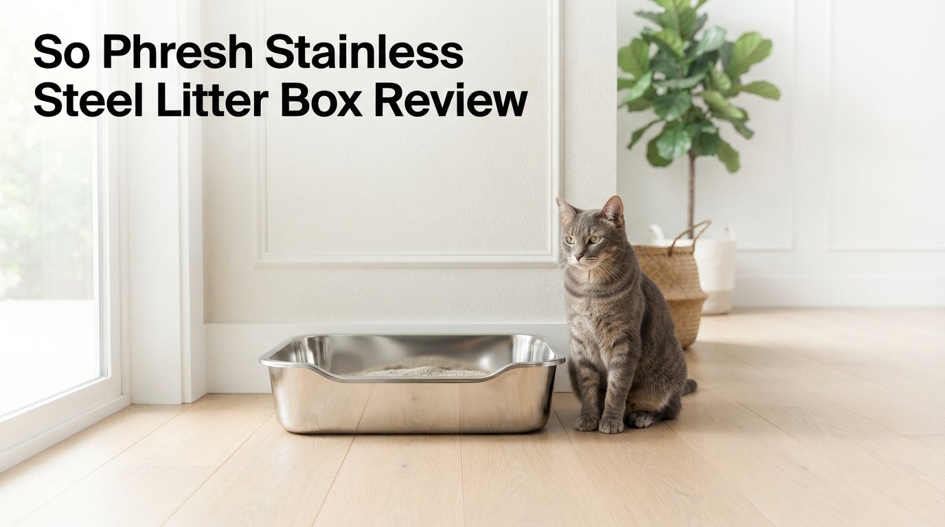 So Phresh Stainless Steel Litter Box Review featuring a durable stainless steel litter box for indoor cats in a modern home.
