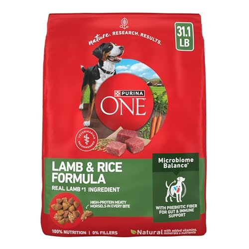 Purina ONE Lamb & Rice Dog Food