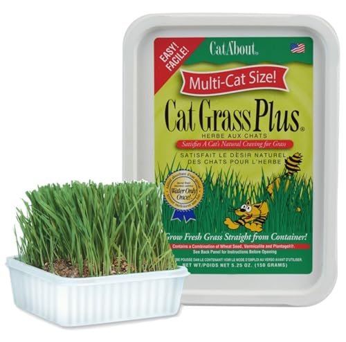 Miracle Care Cat A'bout Cat Grass Kit for Indoor C