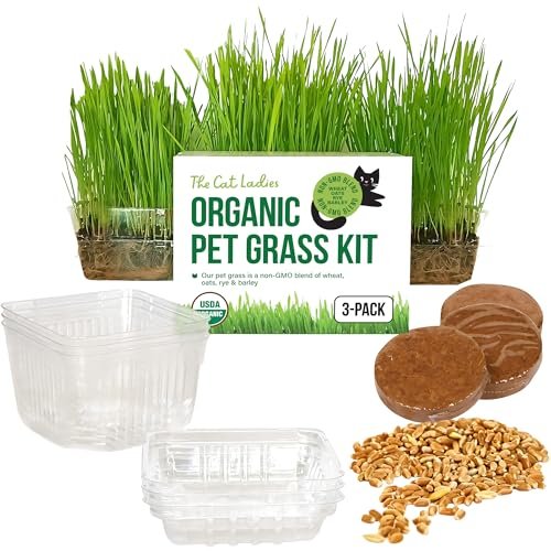 The Cat Ladies Cat Grass for Indoor Cats - Growing Kit - Org
