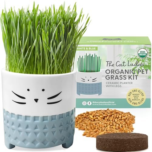 The Cat Ladies Cat Grass for Indoor Cats, Cat Grass Growing 