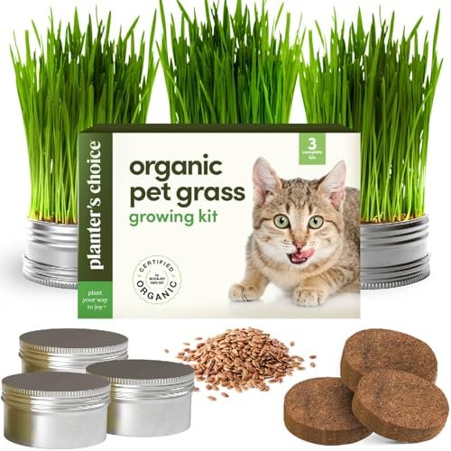 Cat Grass for Indoor Cats Kit - 3 Complete Growing Organic P