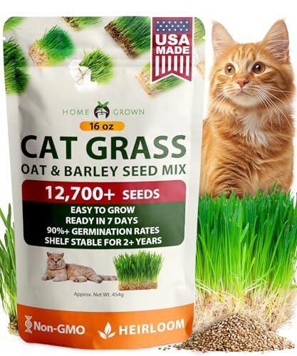 HOME GROWN Non GMO 1 Pound Cat Grass 12,700+ Seeds & Kittens
