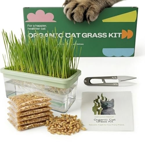 Hydroponic Cat Grass Kit with 6 Pack Non GMO Seeds & Scissor
