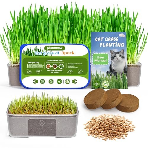 Cat Grass Growing Kit for Indoor Cats - Fast Growing (3-7 Da