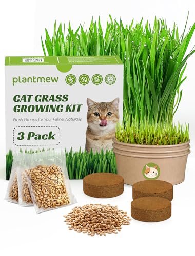 Cat Grass Kit for Indoor Cats, 3 Pack Fast Growing Cat Grass