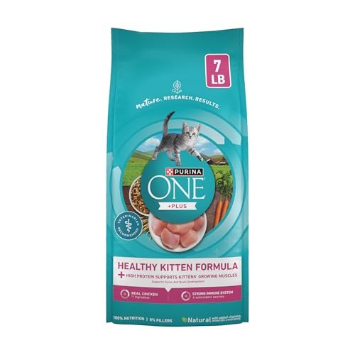 Purina ONE High Protein, Natural Dry Kitten Food, 