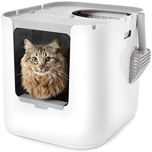 Modkat XL Cat Litter Box, Top or Front-Entry, Line