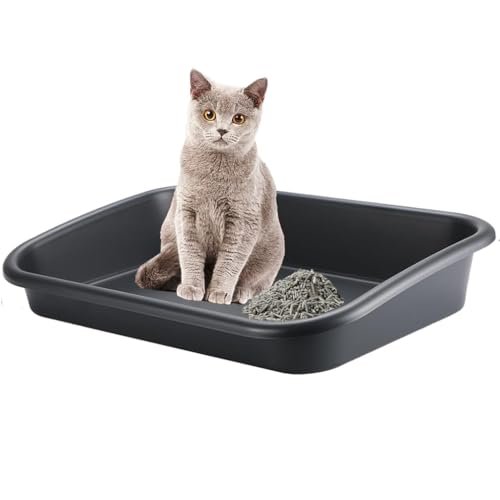 Extra Large Litter Box with High Sides 23.23