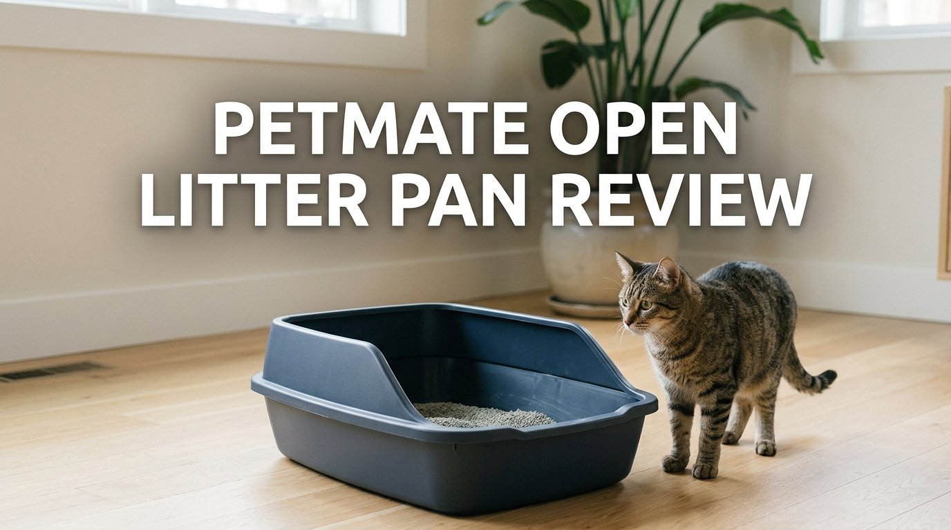 Petmate Open Litter Pan Review showing the open design and spacious litter area