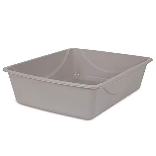 Basic Open Top Entry Cat Litter Pan Plastic Rimmed Box, Larg