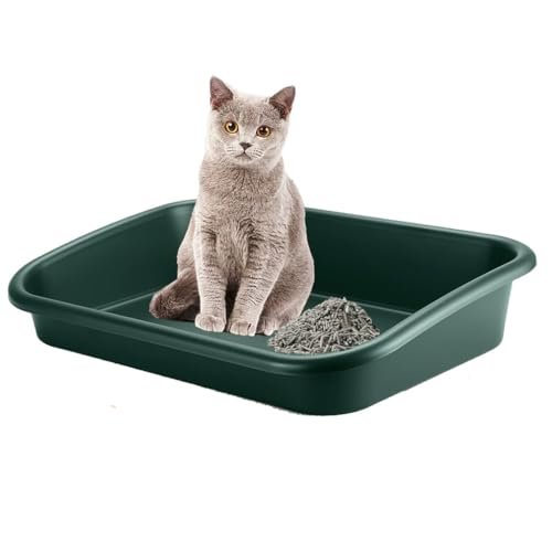 Extra Large Litter Box with High Sides 23.23 Lx16.54 Wx4.33